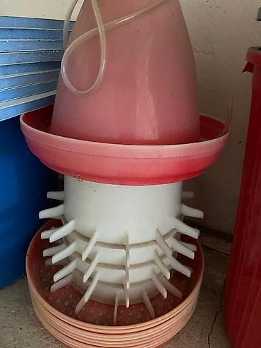 Toyuq yem qabları, tecili satılır. 300 eded yem qabı, 30 eded su qabı