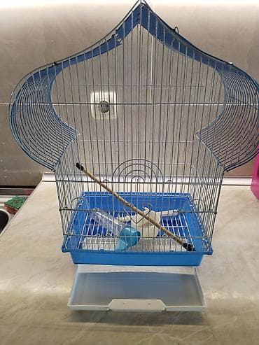 Quş qəfəsi – dekorativ üst hissəli, mavi baza - Material: metal tor