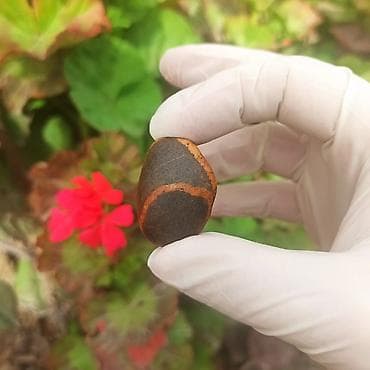 green witch saat: Kolleksiyamdakı Təbii Daşların Satışı | Mineral • Kristal • Dekorativ — 8