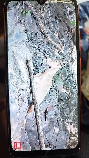 tv box android: Redmi Note 9, 64 GB, rəng - Narıncı, Barmaq izi — 4