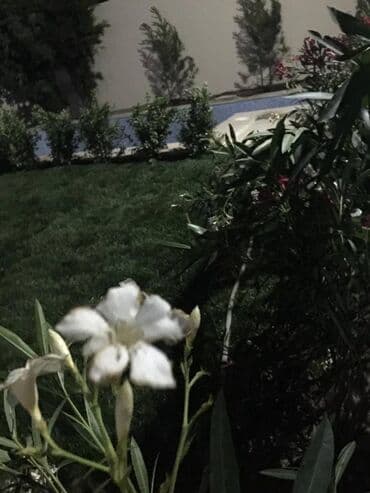 недвижимость в азербайджане купить: Mərdəkanda 4 sot torpaq sahəsində, 217 kvm, müasir üslubda inşa — 12