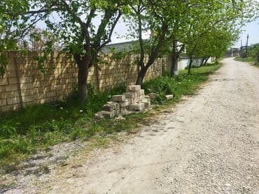 qurd qapisi kiraye evler: 10 sot, Tikinti, Mülkiyyətçi, Kupça (Çıxarış), Bələdiyyə — 3