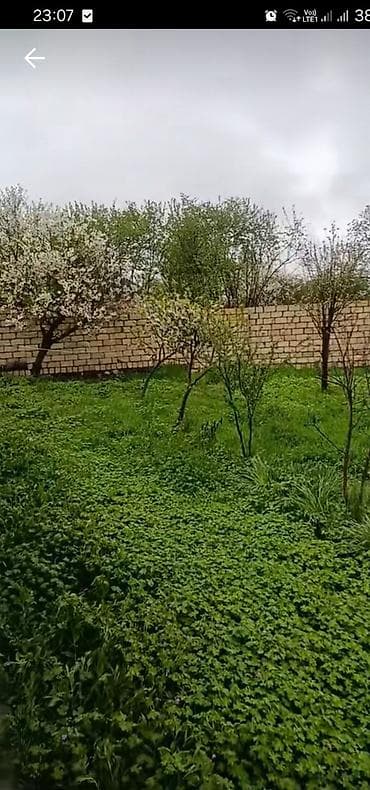 6 sot, Tikinti, Mülkiyyətçi