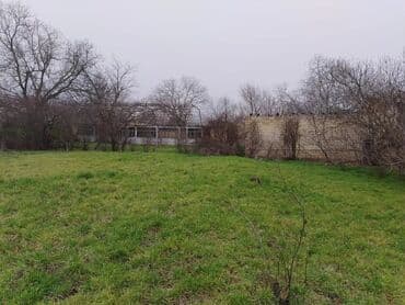 zamin emlak.az: 15 sot, Tikinti, Mülkiyyətçi, Kupça (Çıxarış) — 4