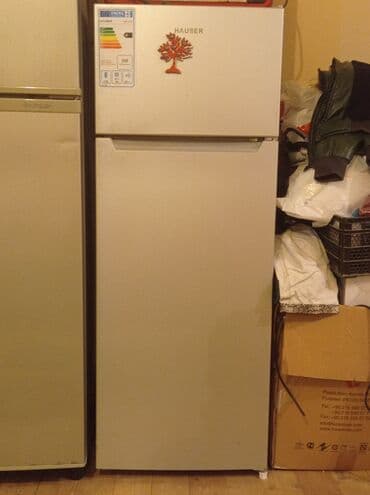 hauser soyuducu: Hauser iki qapılı soyuducu - Üst bölmə: dondurucu - Alt bölmə — 1