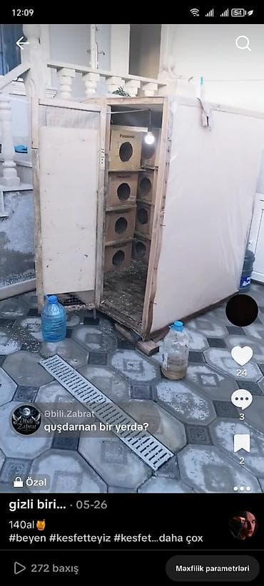 göyərçin yuvası: Göyərçin yuvası satılır hündürlüyü 1.50 eni 1.30 uzunu 1. 50 Hər yani — 2