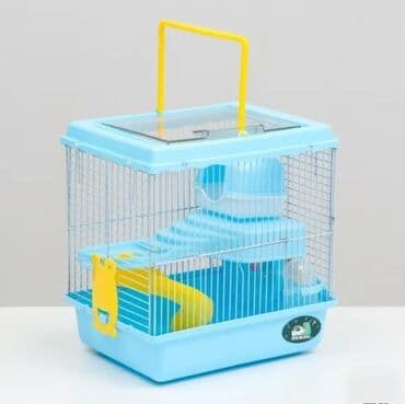 donuz balası: Xomyak və cunqarik qəfəsi Xomyak və cunqarikləriniz üçün rəngli və — 6