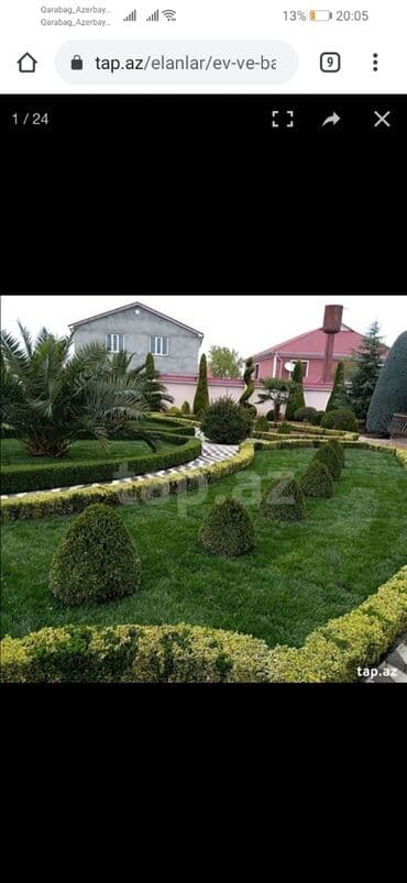 orkide qiyməti: Online qazon satisi catdirlmasi ve qurasirilmasi qiymət kvadratan ve — 2