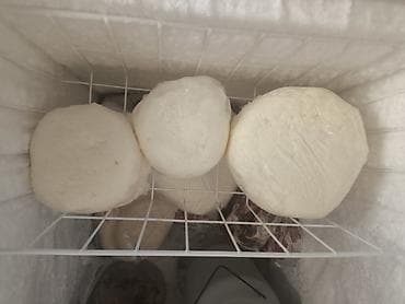 Salam. Nehrə Yağı Satılır Temizdiyinə Zəmanət verilir 100%.İsdənilən