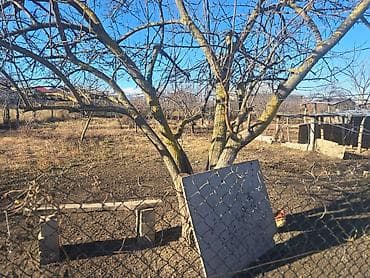 qax evler: Qubada, Iqriq kəndində həyət evi - Torpaq sahəsi: 5 sot - Plan: 2 — 5