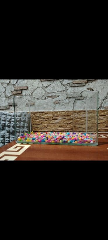 продажа аквариумных рыбок: Akvarium satılır — 1