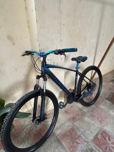 Dağ velosipedi Mercury, 29"