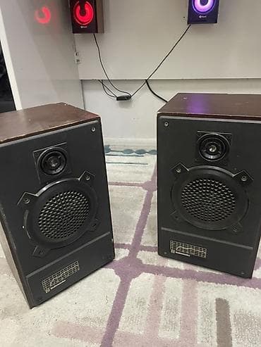 Radiotehnika Kolonka, Növ - Akustik, rəng - Qəhvəyi lalafo.az -da Radiotehnika Kolonka, Növ - Akustik, rəng - Qəhvəyi