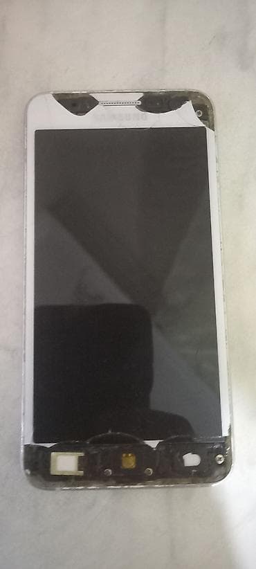 Собаки: Satilir 10m — 1