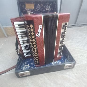 bayan akkordeon: Akustik Akkordeon, İşlənmiş — 1