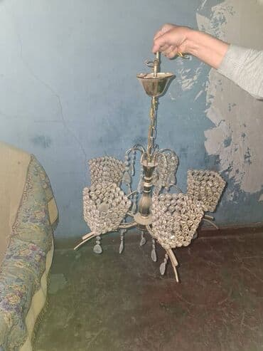 orxideya guli: Çılçıraq, 5 lampa — 3