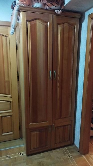 2 qapılı, Qəhvəyi, Taxta, Açılan, Düz dolab