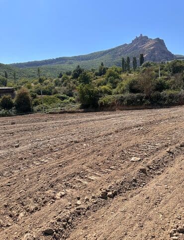 26 sot, Tikinti, Kupça (Çıxarış)