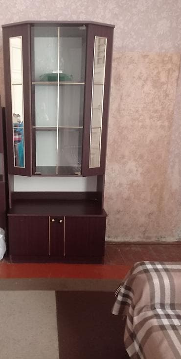 Şüşəli vitrin dolabı