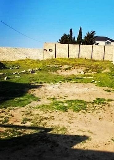 dübəndi torpaq: 5 sot, Bələdiyyə — 1