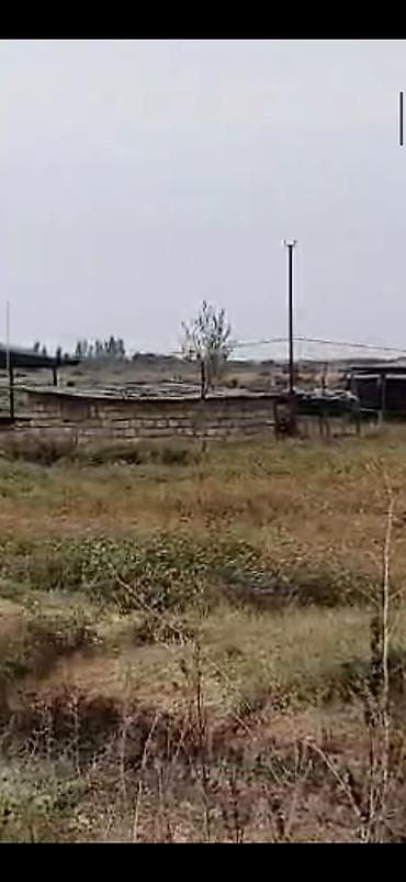 Metal fermalar: Ferma və təsərrüfat kompleksi - Heyvandarlıq üçün tikililər: uzun — 7