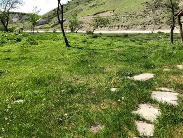 yeni əmlak sumqayıt: 30 sot, Kənd təsərrüfatı, Mülkiyyətçi, Kupça (Çıxarış) — 21