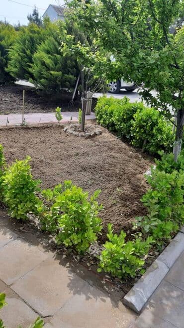 baki hovuzlu evler: 200 kv. m, 4 otaqlı, Qaz, İşıq, Su — 14