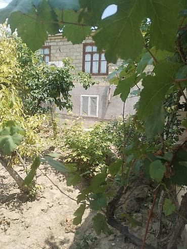 satiq evler: Bakı, 160 kv. m, 6 otaqlı, Kombi, Qaz, İşıq — 6