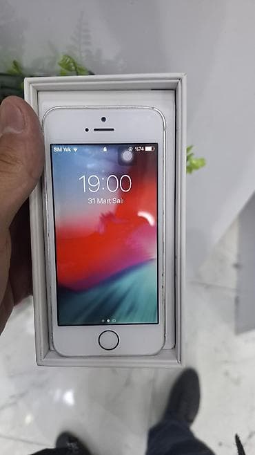 iphone 5s korpus: IPhone 5s, 16 GB, Qızılı, Barmaq izi — 2