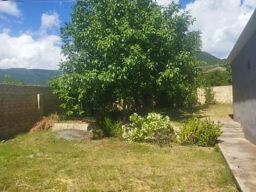 hovsan kupcali heyet evi: Bağ evi/həyətyanı sahə - Geniş həyət: yaşıllıq, ağaclar və dekorativ — 4