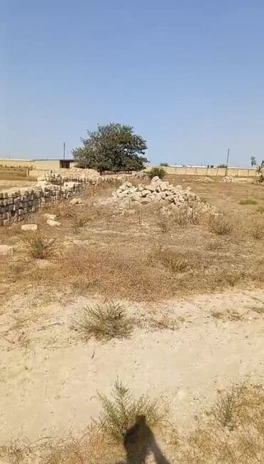 elite: 44 sot, Tikinti, Mülkiyyətçi, Bələdiyyə — 4