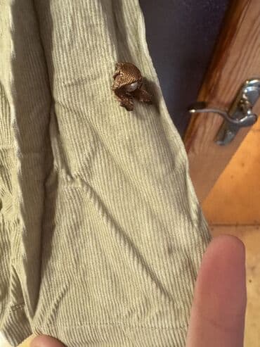 paltar alan: Zaradan alinib Mavi rəngdə, çiçək naxışlı, qısaqol Zara qadın don — 6