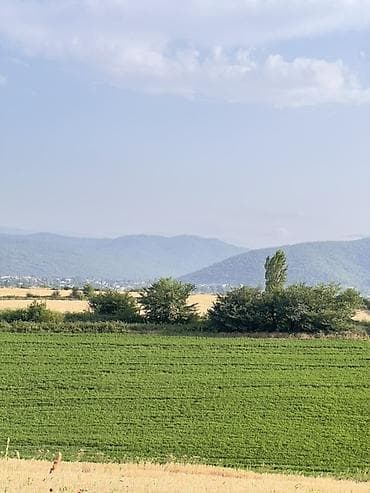 3 sot, Tikinti, Mülkiyyətçi, Kupça (Çıxarış), Texniki pasport lalafo.az -da 3 sot, Tikinti, Mülkiyyətçi, Kupça (Çıxarış), Texniki pasport