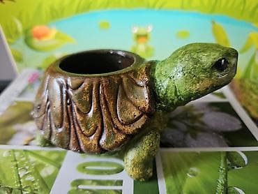 gul dibcək: Горшки для сукулентов и кактусов — 2