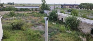 ucar: 30 sot, Biznes üçün, Mülkiyyətçi, Kupça (Çıxarış) — 13