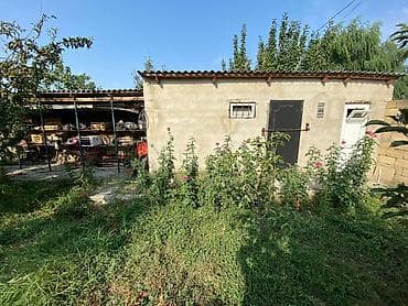 suraxani torpaq satilir: 8 sot, Tikinti, Kupça (Çıxarış) — 6