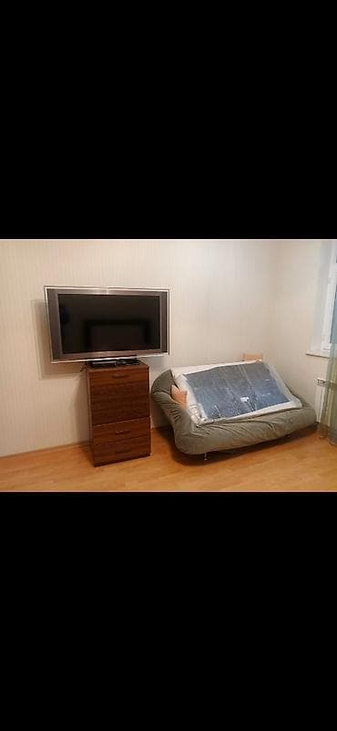 Комнатные растения: Ideal veziyyetde — 3