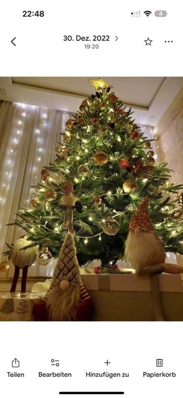 Bu, evinizdə bayram əhval-ruhiyyəsi yaratmaq üçün ideal olan böyük lalafo.az -da Bu, evinizdə bayram əhval-ruhiyyəsi yaratmaq üçün ideal olan böyük