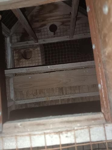 itler ucuz: Taxta quş/kəpənək evi – geniş və çoxsəviyyəli qəfəs - Material: taxta — 4