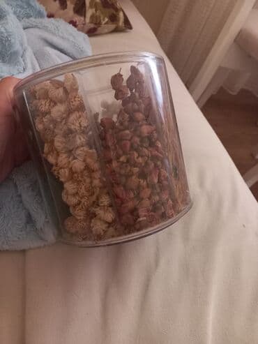 Инструменты: Другие товары для кухни — 1