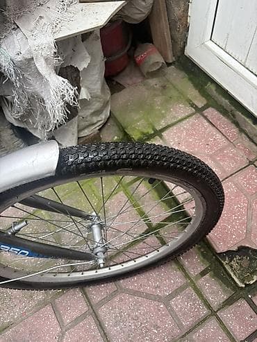 focus velo: Yeni Şəhər velosipedi Stels, 24", sürətlərin sayı: 1, Ödənişli çatdırılma — 7