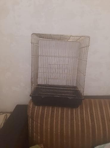 qefes: Qizili reng qefes yenidir Hundurluyu 56 Eni 42 Istiyen olsa Genclikden — 4