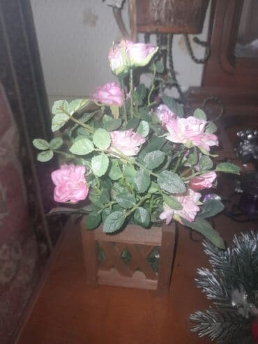 Süni güllər lalafo.az -da Süni güllər