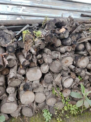 Bir qazeldən çox odundu hazır doğranmış odunlardı başqada odunlar var lalafo.az -da Bir qazeldən çox odundu hazır doğranmış odunlardı başqada odunlar var