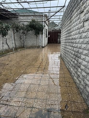 Bileceride abide ve ag saraya yaxin heyet evi kiraye verilir. Evde her