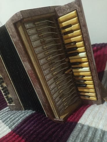 Akustik Akkordeon, İşlənmiş, Ödənişli çatdırılma