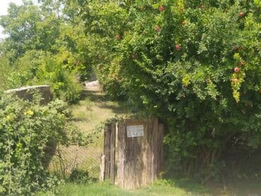 купить недвижимость в баку: 12 sot, Kənd təsərrüfatı, Mülkiyyətçi, Kupça (Çıxarış) — 5