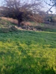 объявления о продаже земельных участков: 17 соток, Купчая — 2