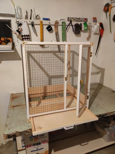 karlik dovşanlar: Papuqay,dovşan,hamster,şinşila,bildirçin,cücə,xamyak,pişik,quş,tısbağa — 2