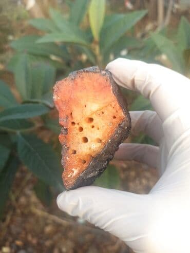 Kitablar və jurnallar: 💎 Qiymətlə bağlı maraqlananlar zəhmət olmasa nömrədən📞 whatsapp dan — 3